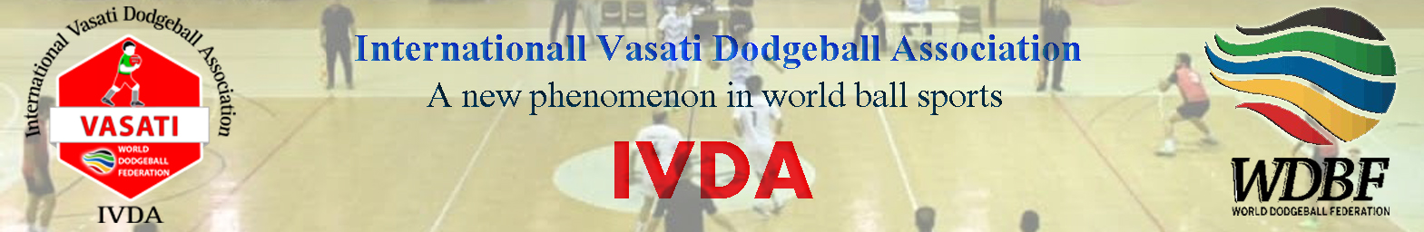 vasatidodgeball